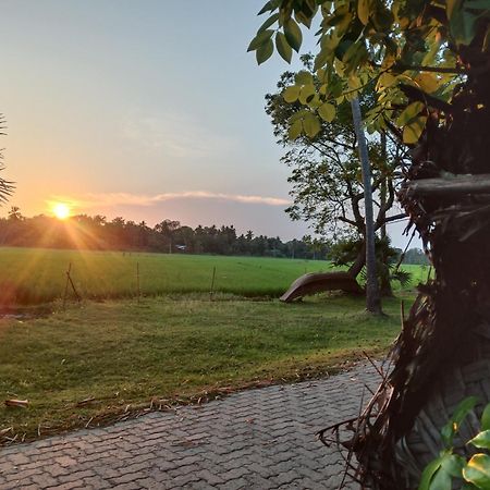 Yaye Guest House Tissamaharama Kültér fotó